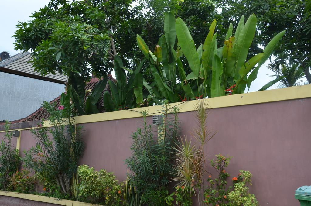 Villa Eva Canggu Buitenkant foto