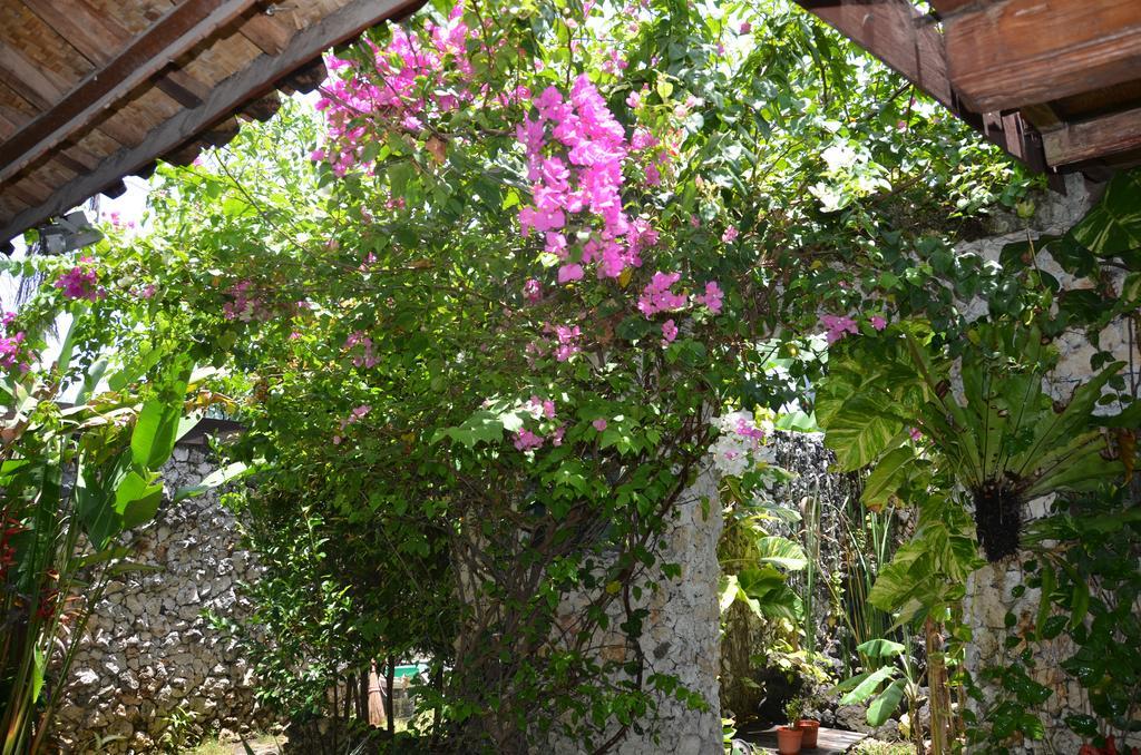 Villa Eva Canggu Buitenkant foto